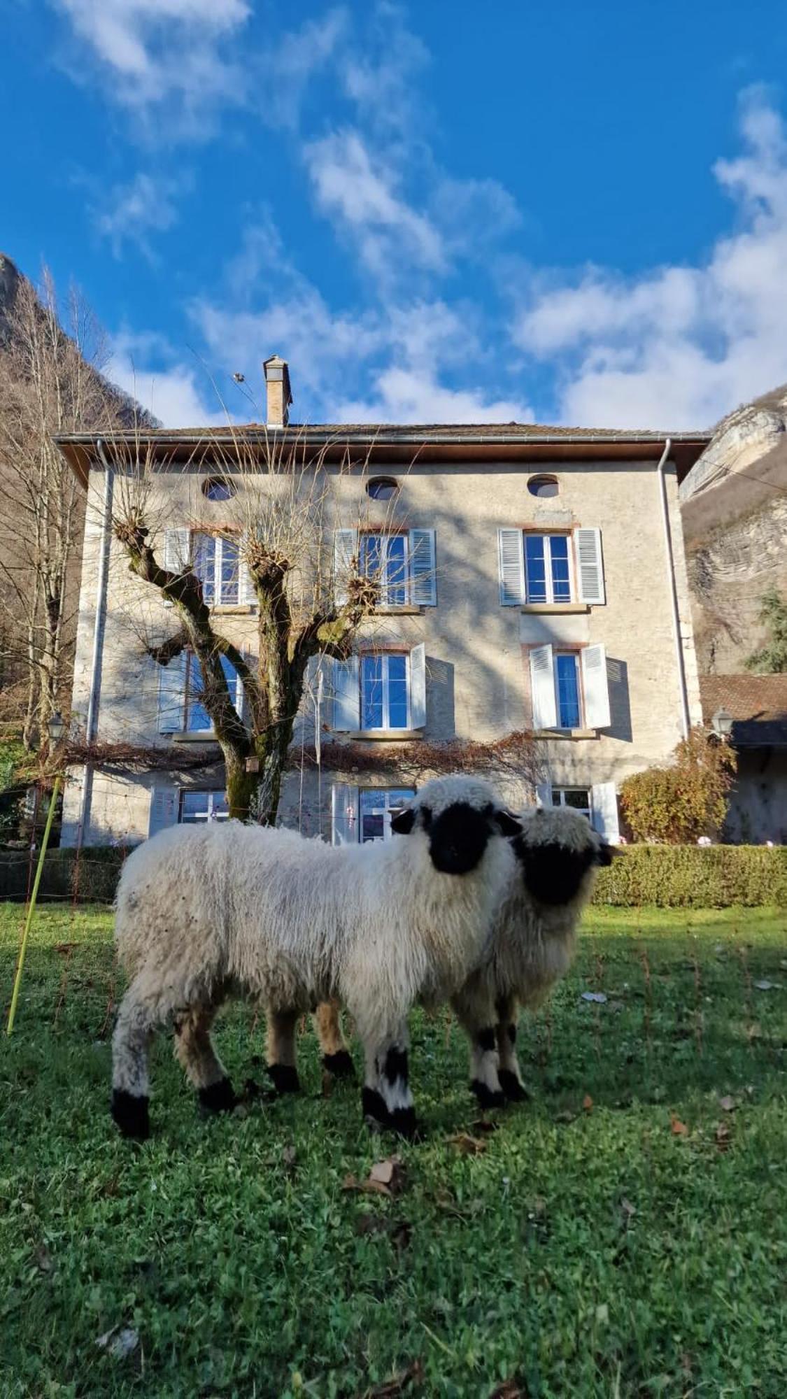 Chateau Monts Blancs Lumbin 외부 사진